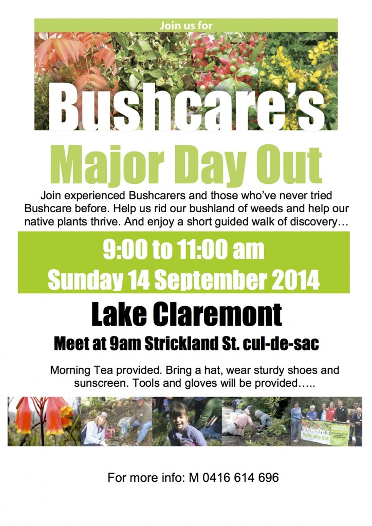 Bushcarer's Day out 2014a